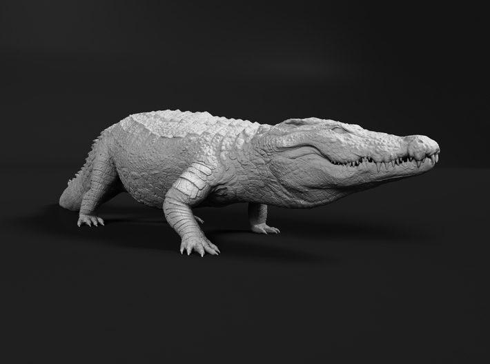 Nile Crocodile 1:64 High Walk 3d printed