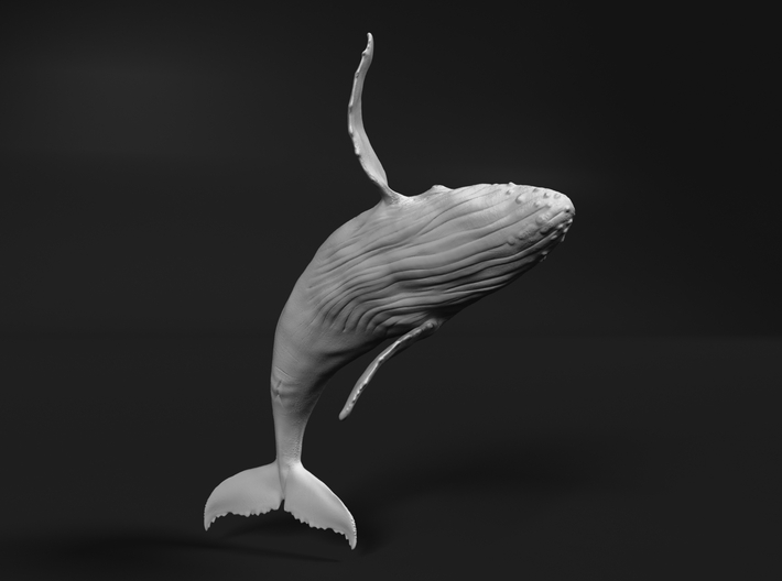 Humpback Whale 1:120 Breaching Male 3d printed 