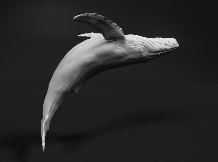 Humpback Whale 1:72 Breaching Female 2 3d printed