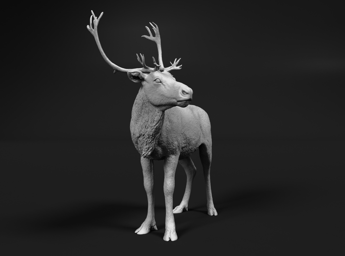 Reindeer 1:6 Standing Male 3 3d printed