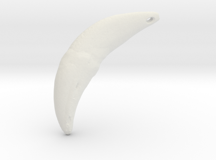 Wolf Fang Pendant (L) 3D-scan composite (DOWNLOAD) 3d printed