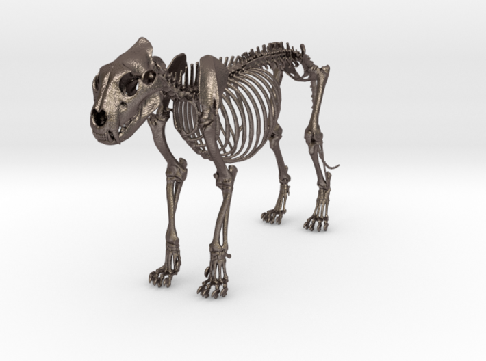 Lion Skeleton Sculpture 3d printed