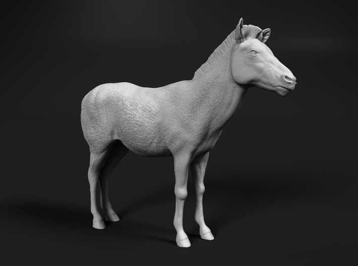 miniNature's 3D printing animals - Update January 5: multiple new models and appearance on Dutch tv - Page 18 710x528_33929887_11295767_1612101379_1_0