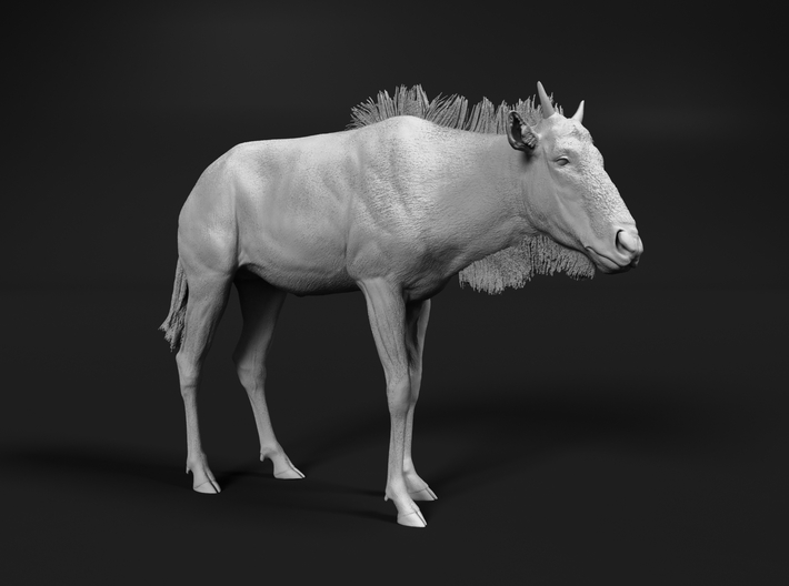 Blue Wildebeest 1:6 Standing Juvenile 3d printed