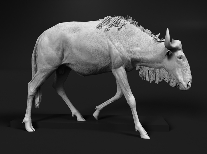 Blue Wildebeest 1:9 Male on uneven surface 1 3d printed