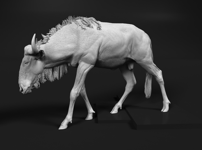 Blue Wildebeest 1:64 Male on uneven surface 2 3d printed 