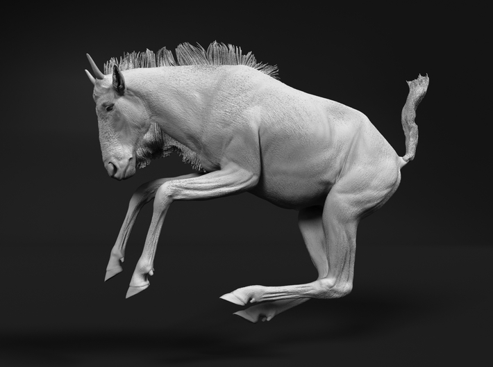 Blue Wildebeest 1:6 Leaping Juvenile 3d printed 