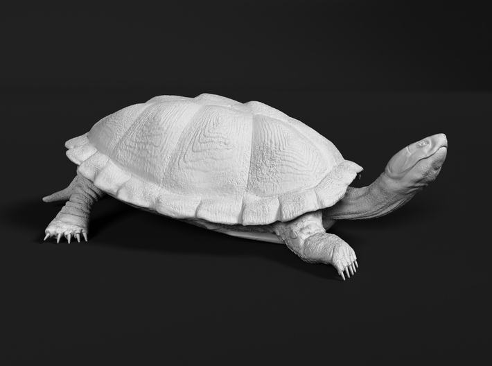miniNature's 3D printing animals - Update January 5: multiple new models and appearance on Dutch tv - Page 18 710x528_34132442_17972220_1614026845_1_0