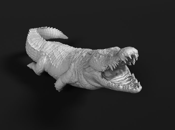 Nile Crocodile 1:12 Smaller one attacks in water 3d printed 