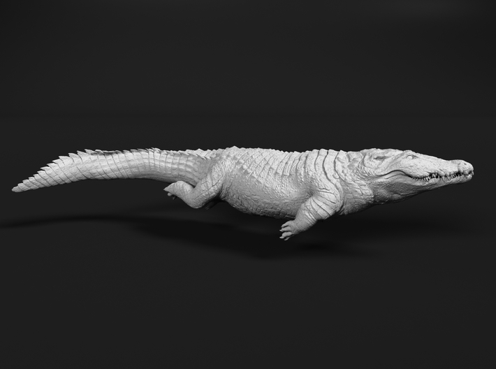 miniNature's 3D printing animals - Update January 5: multiple new models and appearance on Dutch tv - Page 18 710x528_34150902_17980982_1614197302_1_0