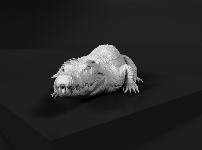 Nile Crocodile 1:25 Smaller one on river bank 3d printed