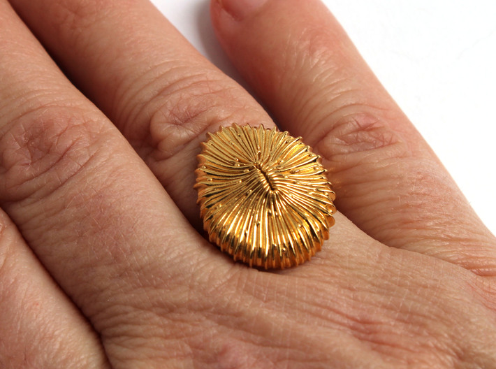 Fungia Coral Ring - Marine Biology Jewelry 3d printed Fungia Ring in 14K gold plated brass
