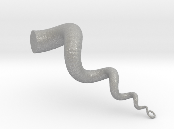 Cockleshell - Snail Mollusc Charm 3D Model 3d printed