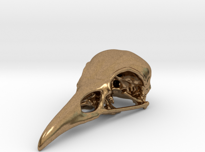 Bird Skull - Micro 3d printed