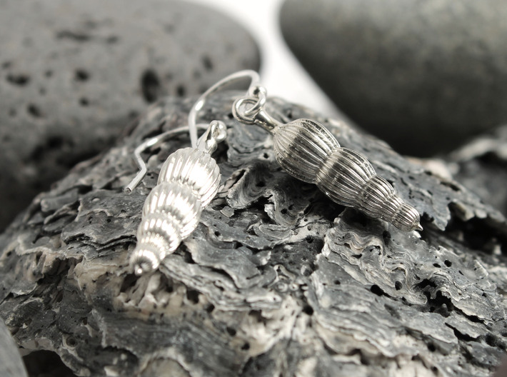 Amphicoryna Foraminifera Earrings  3d printed Amphicoryna earrings in sterling silver