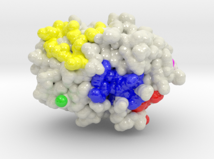 Protein Phosphatase 1 4MOV 3d printed