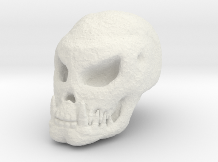 Fossilised Alien Skull 1 3d printed
