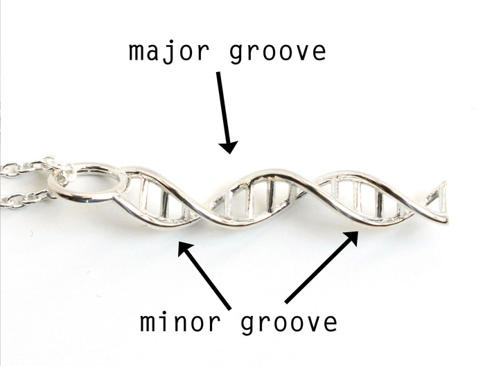 DNA Pendant - Science Jewelry 3d printed