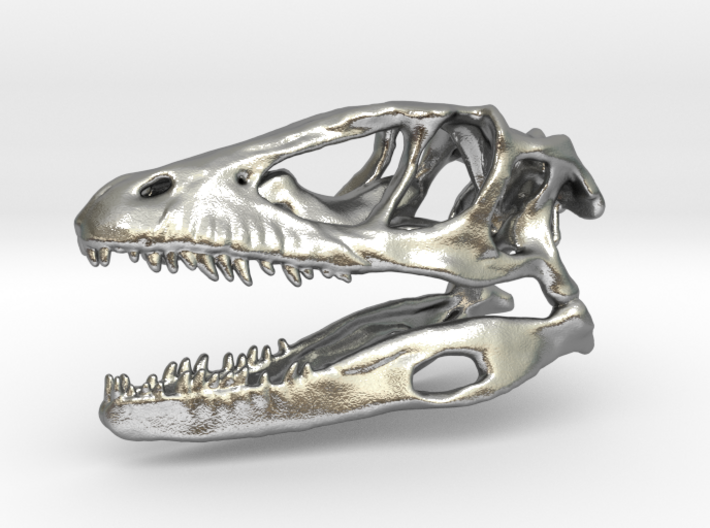 Mini Raptor Dinosaur Skull 3d printed