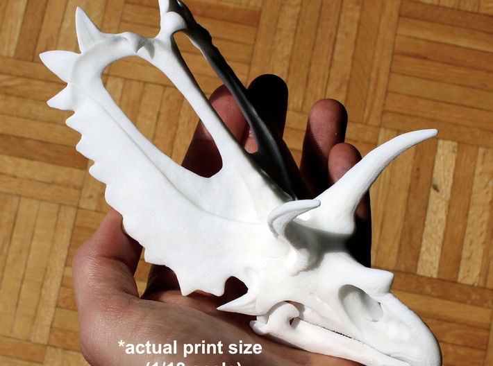 Pentaceratops Skull 3d printed 