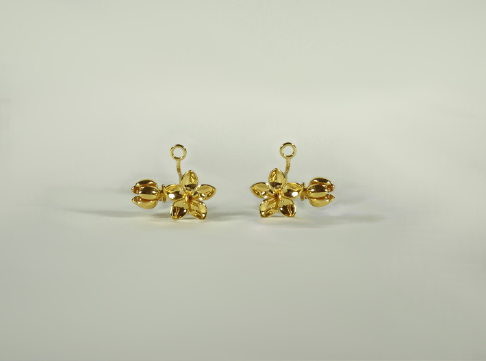 Earrings with two small flowers of the Apple 3d printed 
