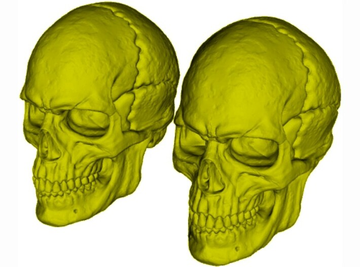 1/9 scale human skull miniatures x 2 3d printed