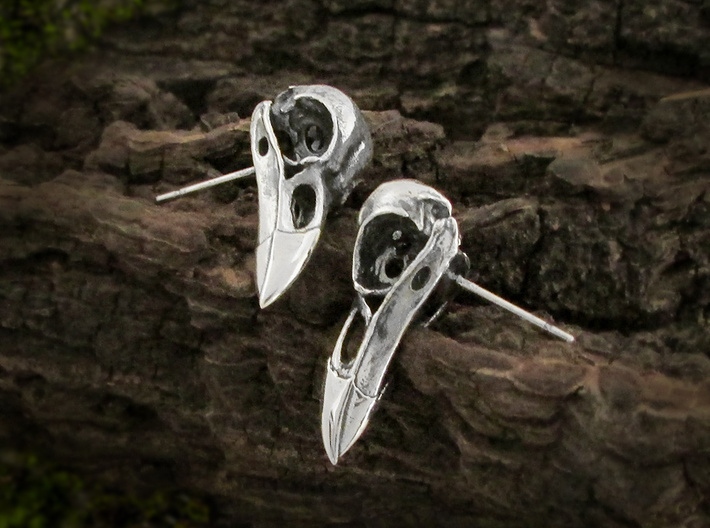 Raven Skull Stud Earrings - Pair 3d printed Raven skull earrings in antique silver