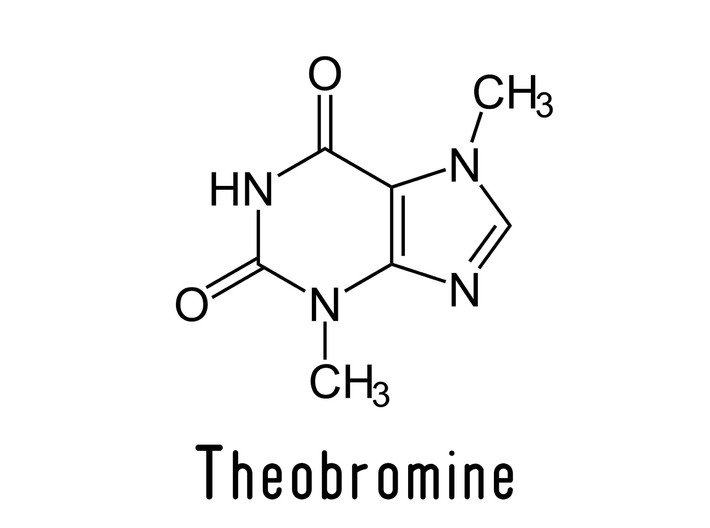 Theobromine Pendant - Molecular Jewelry 3d printed 
