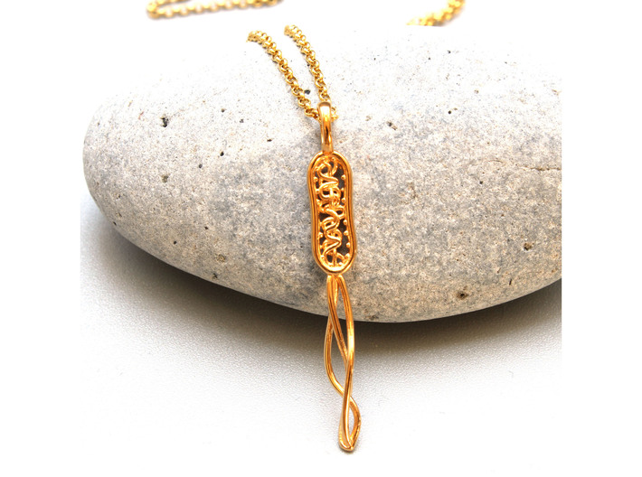 Bacterial Cell Pendant - Microbiology 3d printed Bacterial Cell Pendant in 14K gold  plated brass