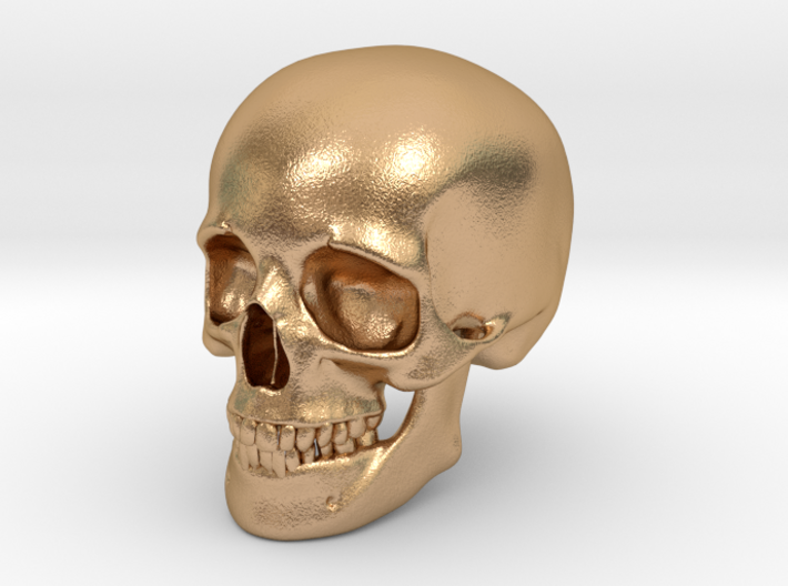 Skull For your desktop 3d printed