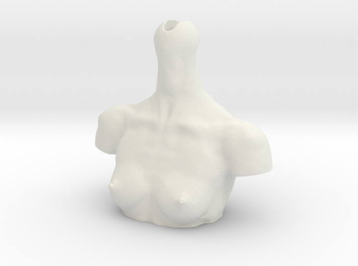 girl-manikin-slim chest 3d printed