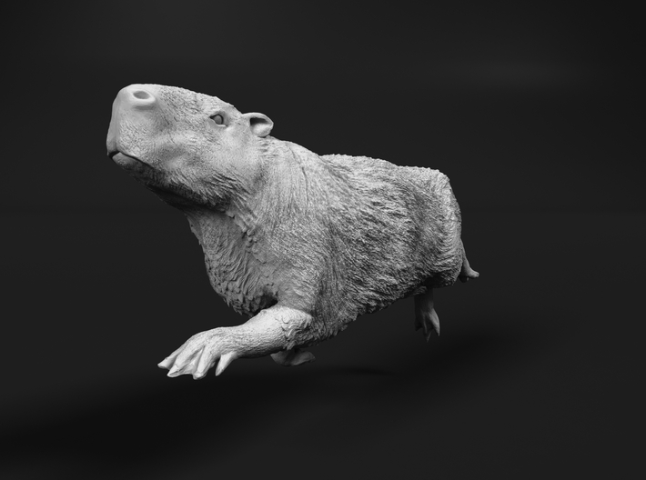 Capybara 1:22 Swimming Male 3d printed 