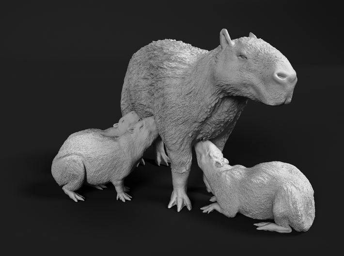 Capybara 1:25 Mother with three young 3d printed 