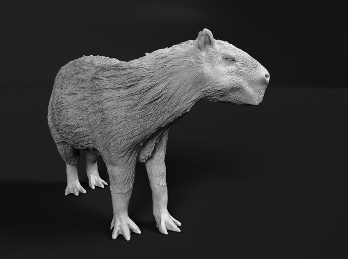 Capybara 1:87 Standing Female 3d printed