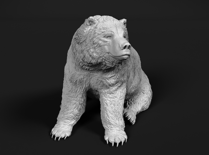 Grizzly Bear 1:20 Sitting Male 3d printed 