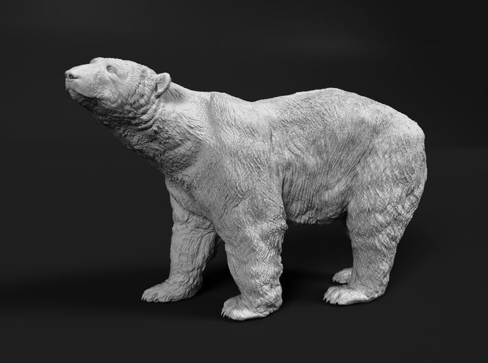 Polar Bear 1:22 Large Male 3d printed