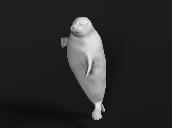 Ringed Seal 1:35 Head above the water 3d printed 
