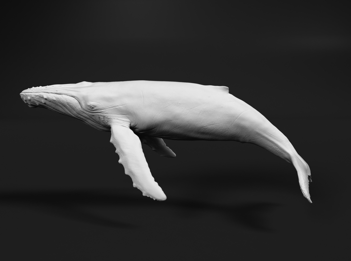 Humpback Whale 1:1000 Swimming Female 3d printed 