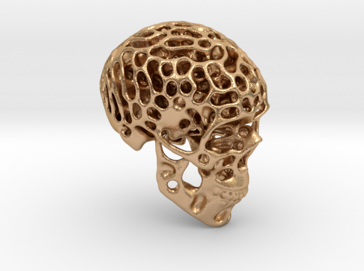 Skull - Reaction Diffusion Sculpture 3d printed