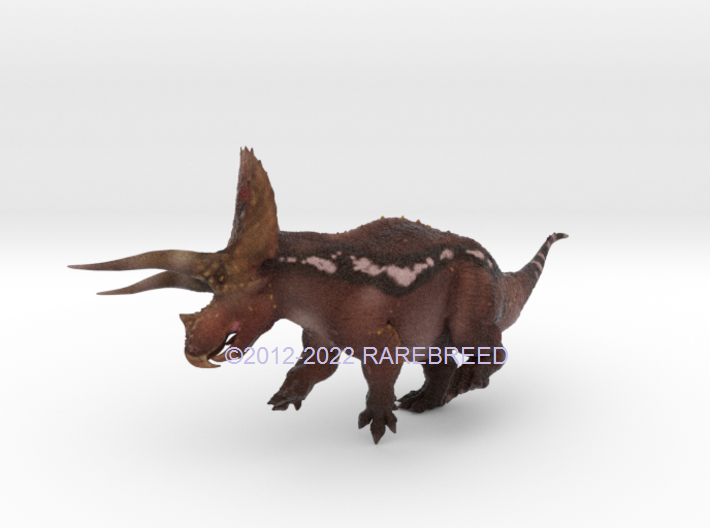 Torosaurus 3d printed Color concept torosaurus/triceratops ©2012-2022 RareBreed