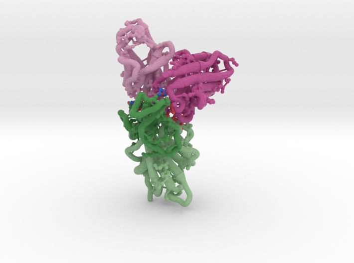 SARS-CoV-2 RBD Antibody Complex 7KS9 3d printed