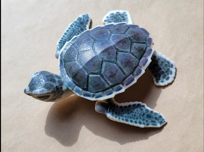 Full-Color Articulated Sea Turtle 3d printed