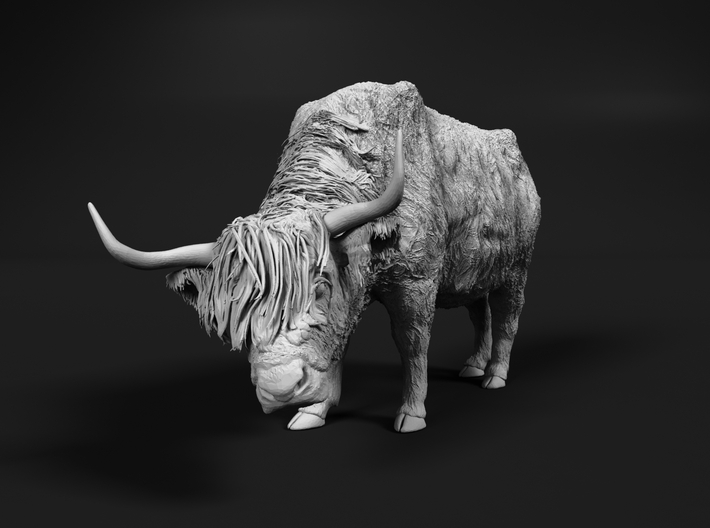 Highland Cattle 1:56 Female with the head down 3d printed