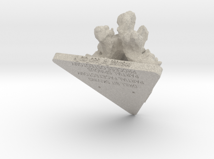 Job1-06954S_K_CIC_OPS_JH_28011944-stl-7-0705_b_L05 3d printed