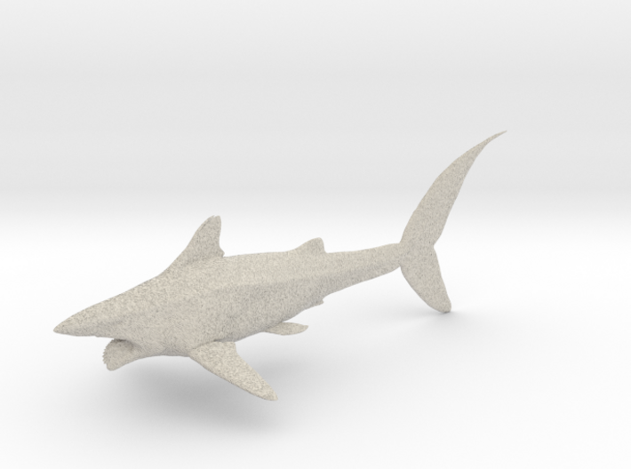 helicoprion 1/40 3d printed