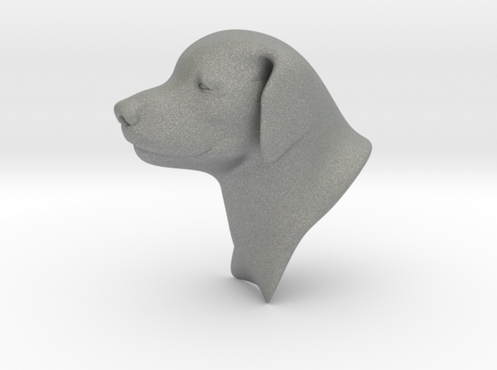 Young Labrador Bust 3&quot; tall 3d printed