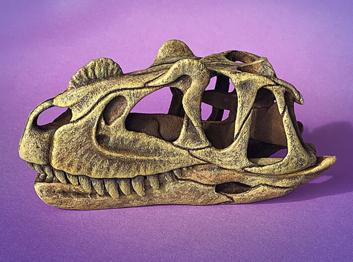 Ceratosaurus skull - dinosaur model 3d printed Actual photo - model finished with acrylic paint