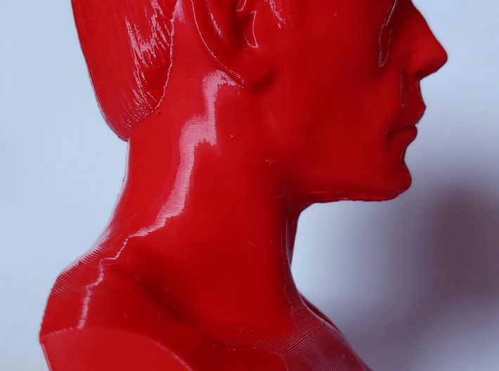 Face of Hardship 3d printed Red PLA+