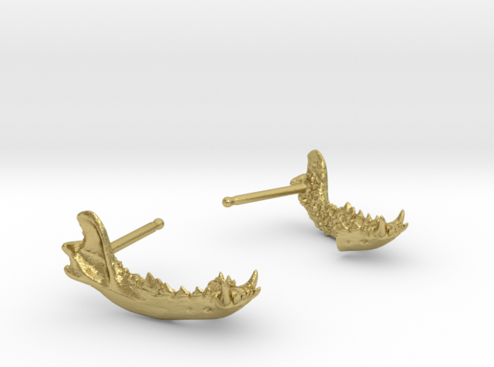 Canine Jaw Earrings 3d printed