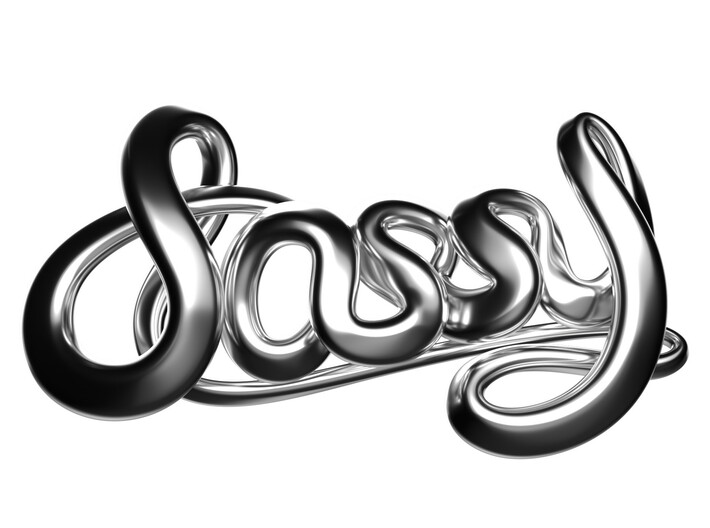 Sassy 3d printed